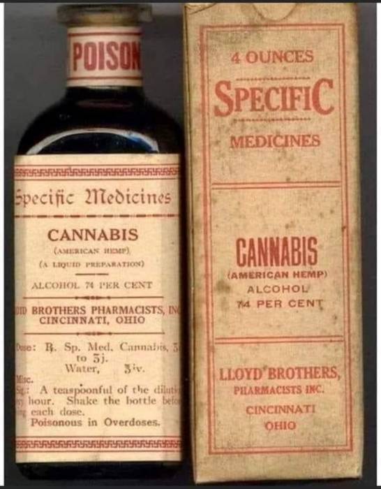 hanf_in_medizin.jpg hanf_in_medizin.jpg